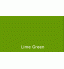 Lime Green Professional Grade Exterior Gel Coat