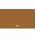 Tan Professional Grade Exterior Gel Coat